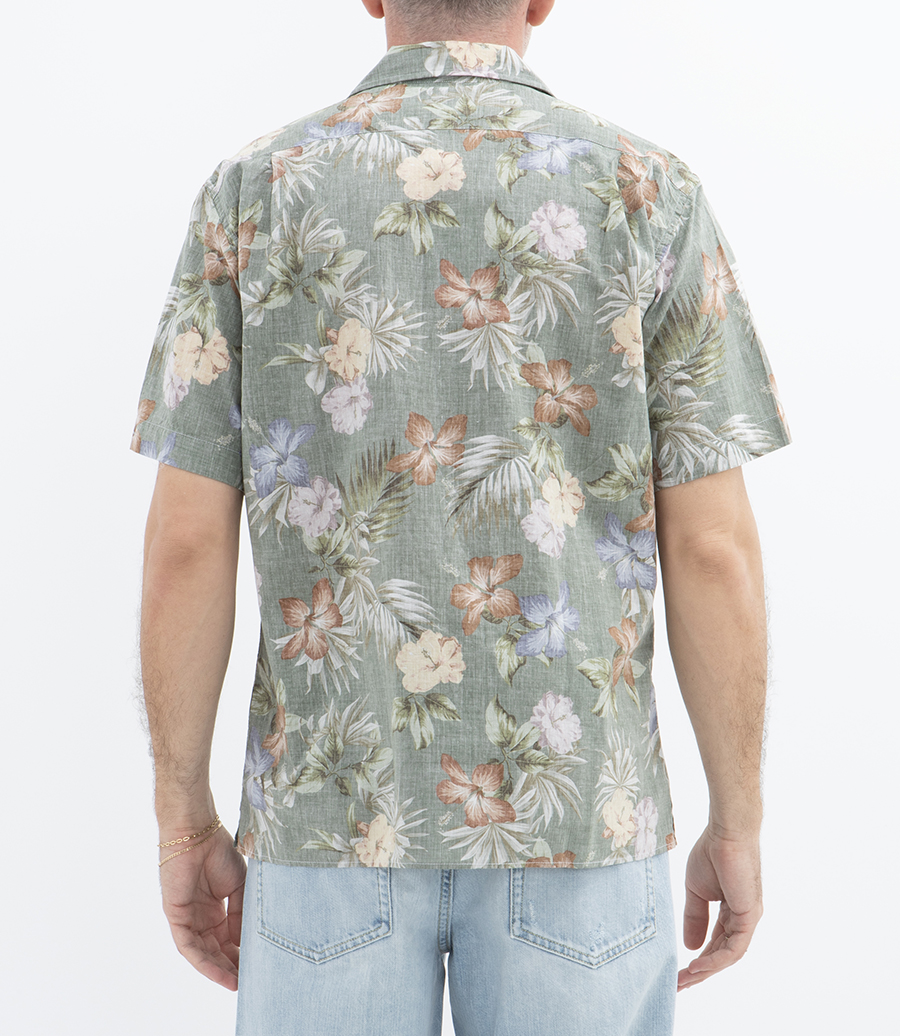 HAWAI PALM MC