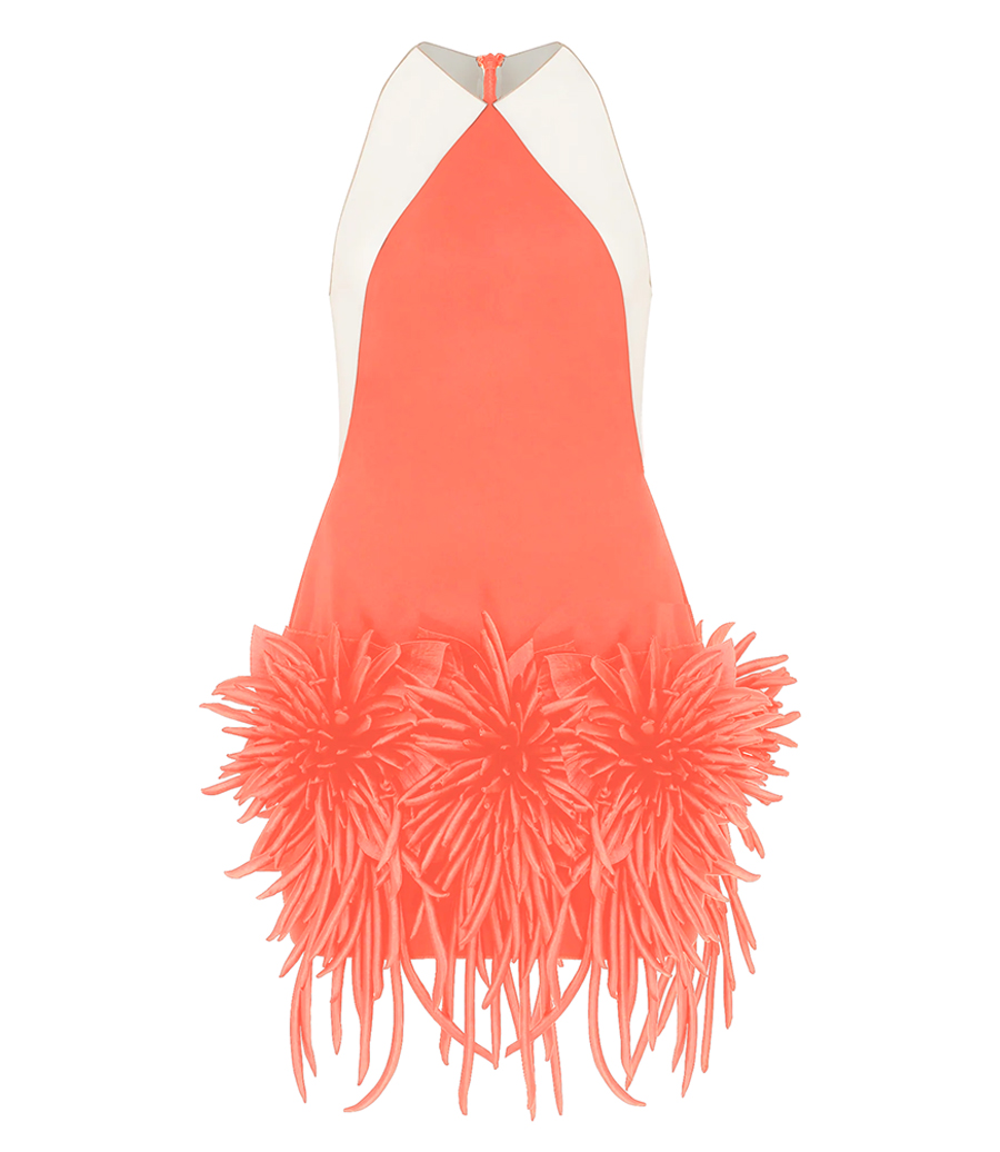 DAVID KOMA - CACTUS DAHLIA DETAILED HALTER MINI DRESS