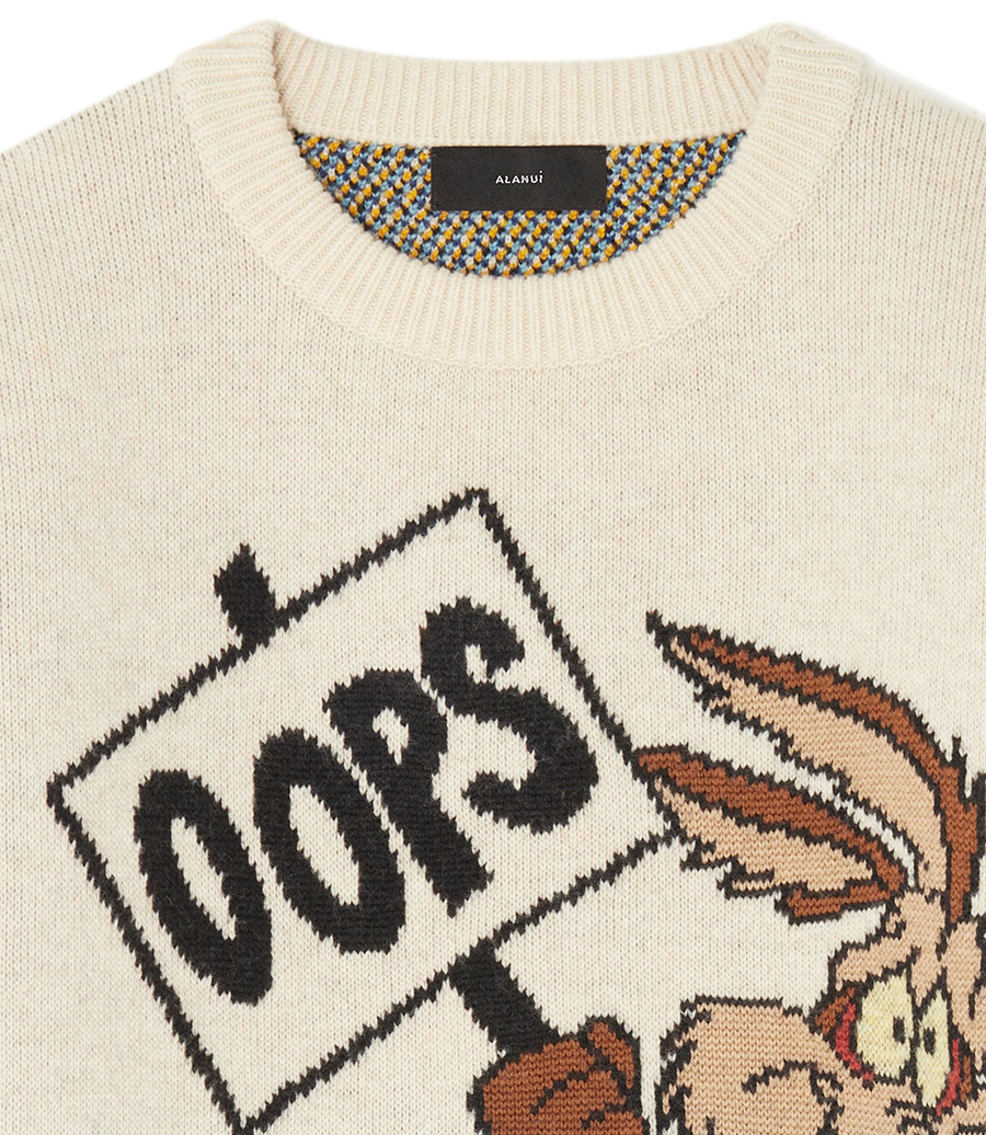 MEN WILE AND ROAD RUNNER SWEATER