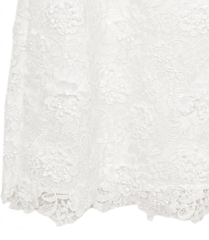 RAIE LACE FLOWER MINI DRESS