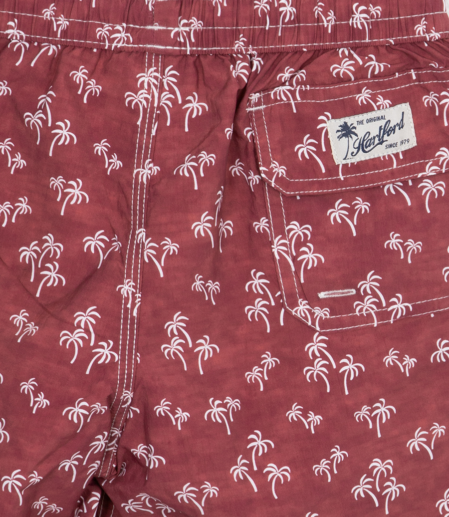 PALM TREES ACHILLE
