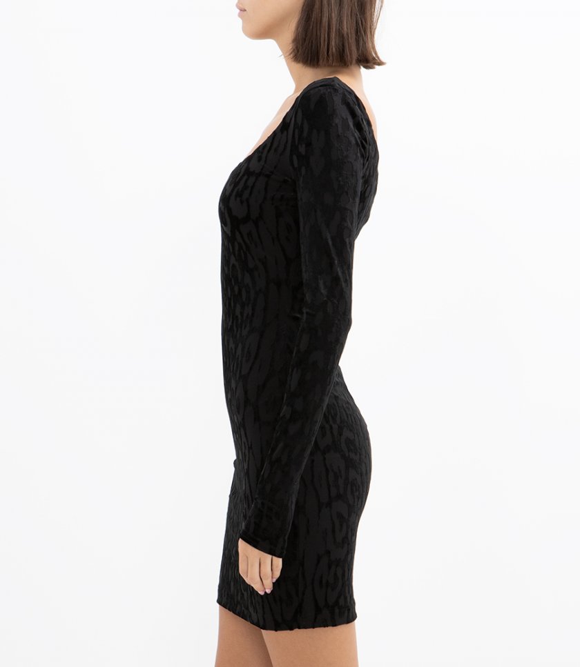 ROBERTO CAVALLI