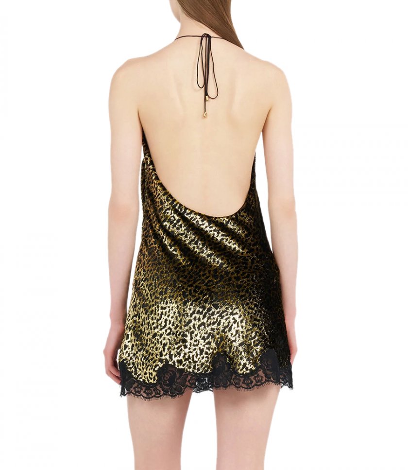 ROBERTO CAVALLI