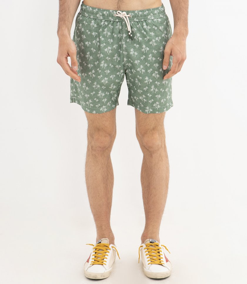 PALM TREES SWIM