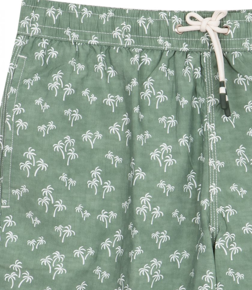PALM TREES SWIM