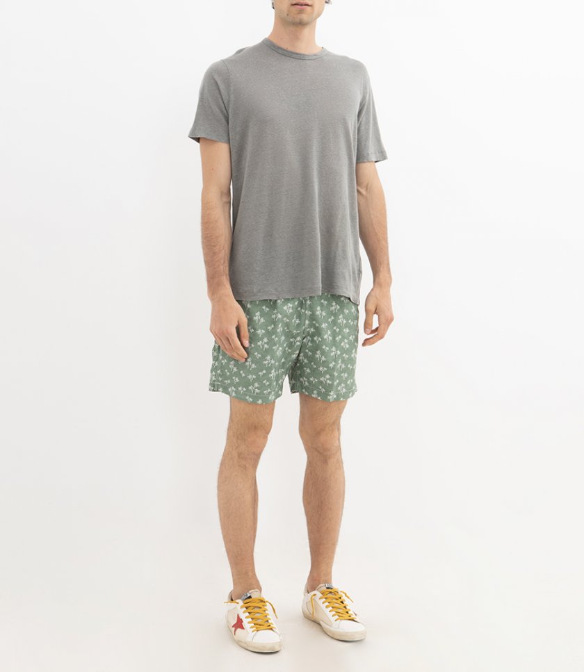 PALM TREES SWIM