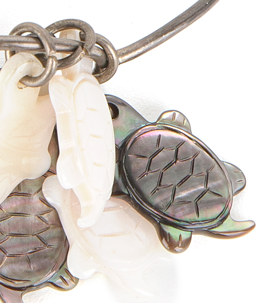 ROUND TURTLES
