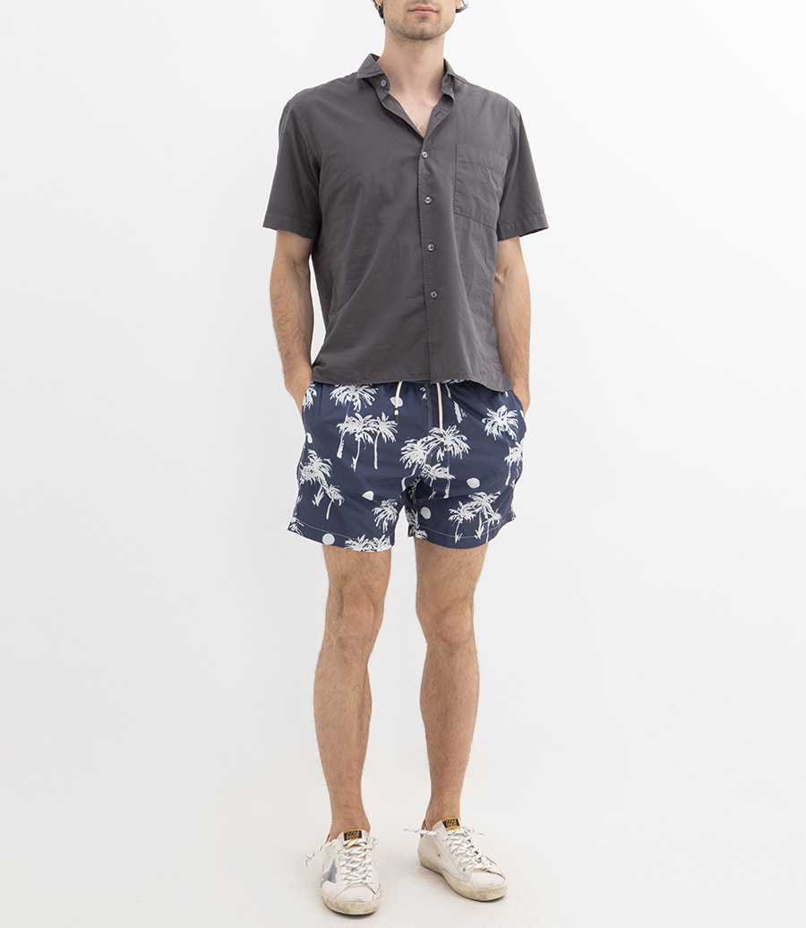 PALM AND DOTS   SWIM