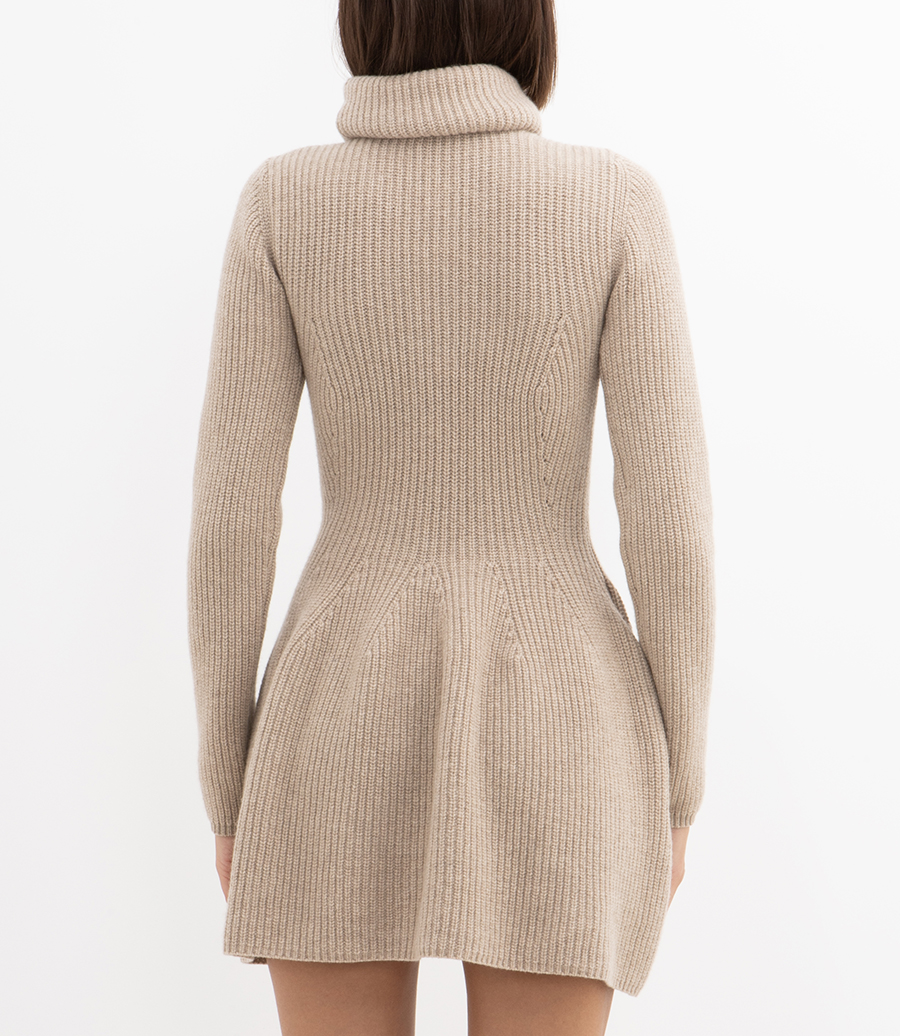 TURTLENECK DRESS