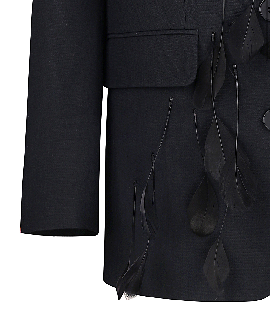 PHOENIX BLAZER