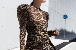 The Animal Instinct 